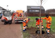 Medewerkers van de groendienst in actie