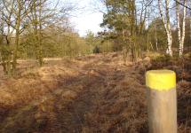 De wandelroute door het Marum