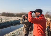 Een groepje wandelaars bewondert de Wuustwezelse natuurpracht