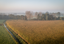 Dronebeeld van de Kleine Beek in de buurt van de Hofdreef - copyright: Wezelopdefoto