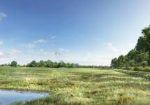 toekomstbeeld grasland De Maatjes