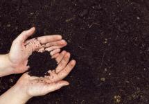 handen gevuld met compost