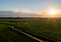 een ondergaande zon boven de weilanden van Wuustwezel