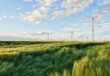 windturbines in een veld