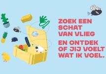 Zoek een schat van vlieg