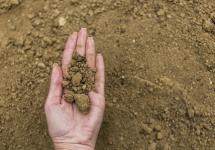 close-up van een hand gevuld met zand