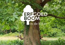 Erfgoedboom in de kijker - RLDV