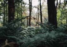 Wandelingenreeks (H)oogverblindend Landschap