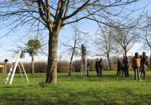 hoogstamfruitbomen snoeien - foto: regionaal landschap de Voorkempen