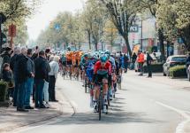 Het peloton passeert de Bredabaan in Wuustwezel tijdens de Scheldeprijs in 2023