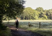 een vrouw wandelt door het Wuustwezelse landschap