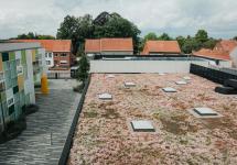 groendak op zaal Pezerik in 't Blokje, Loenhout