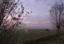 Het subsidieprogramma wil natuur en landbouw versterken