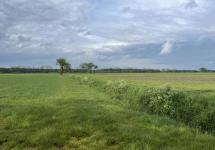 landschapsfoto van een grasveld met een bewolkte lucht - foto: Atelier Romain