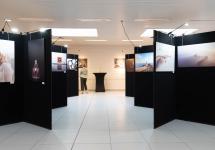 Tentoonstelling 2023