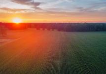 Luchtfoto met een landbouwveld omringd door een bos