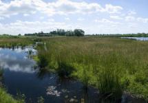 natte natuur in Wuustwezel