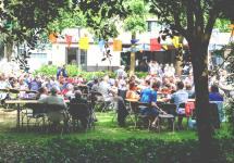 Gooreinds Tuinfeest © Wezelopdefoto