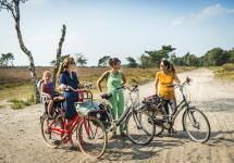 drie vrouwen staan met hun fiets aan de Heideroute op een zonnige dag
