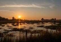 De Maatjes bij ondergaande zon - foto: Wezelopdefoto
